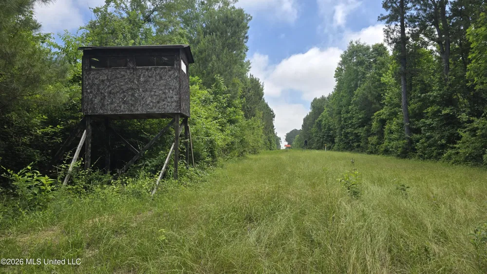 189 Co Rd 2337 Bay Springs, MS 39422