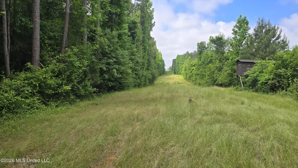 189 Co Rd 2337 Bay Springs, MS 39422