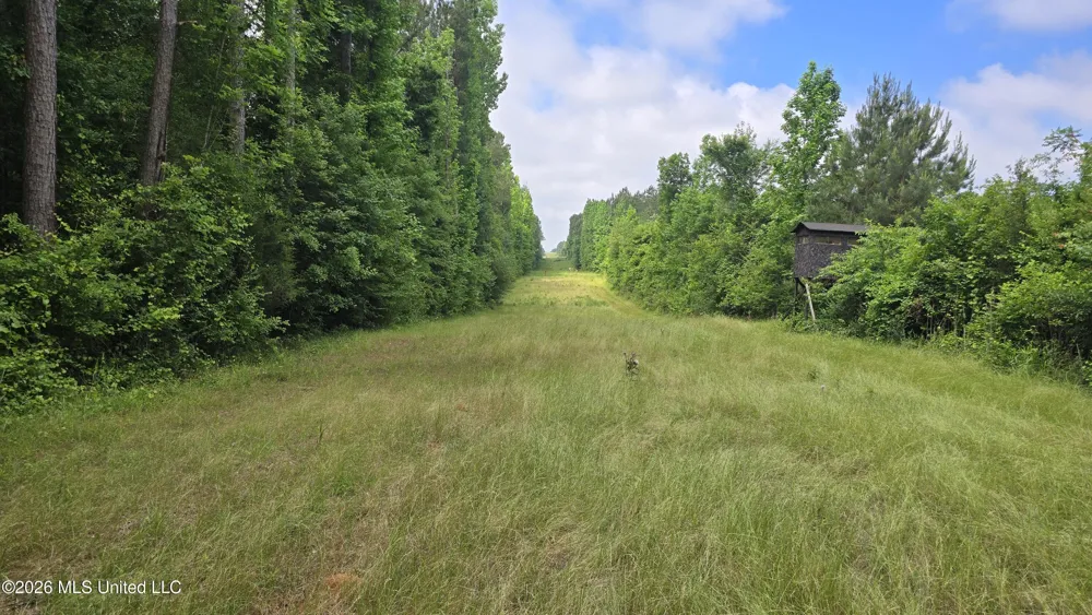 189 Co Rd 2337 Bay Springs, MS 39422
