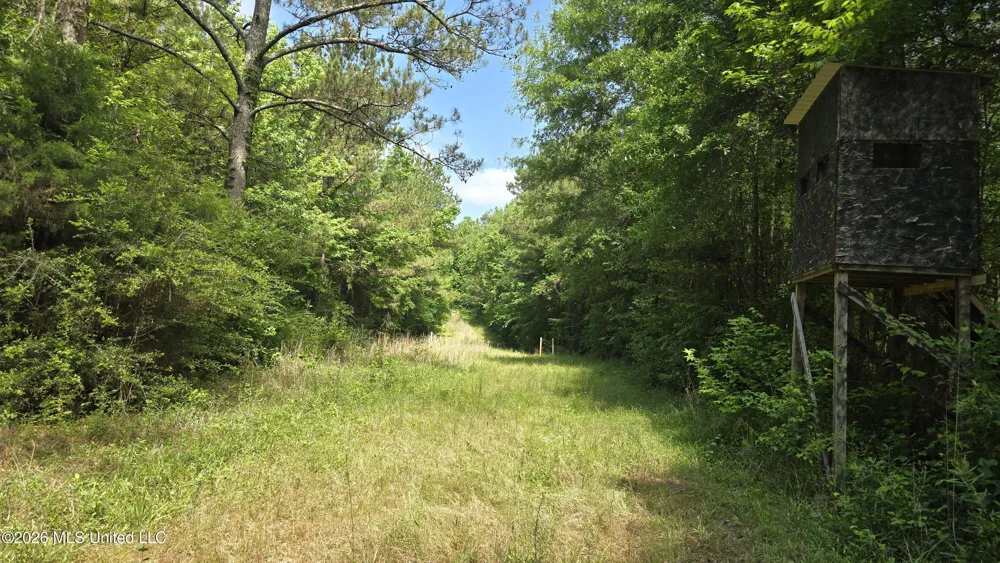 189 Co Rd 2337 Bay Springs, MS 39422