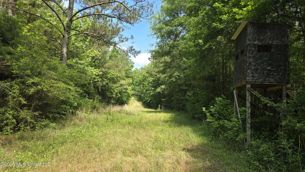 189 Co Rd 2337 Bay Springs, MS 39422