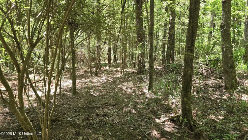 189 Co Rd 2337 Bay Springs, MS 39422