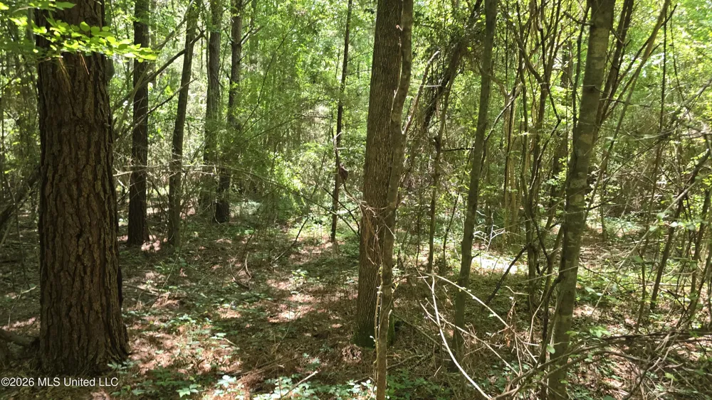 189 Co Rd 2337 Bay Springs, MS 39422
