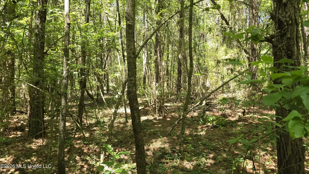 189 Co Rd 2337 Bay Springs, MS 39422
