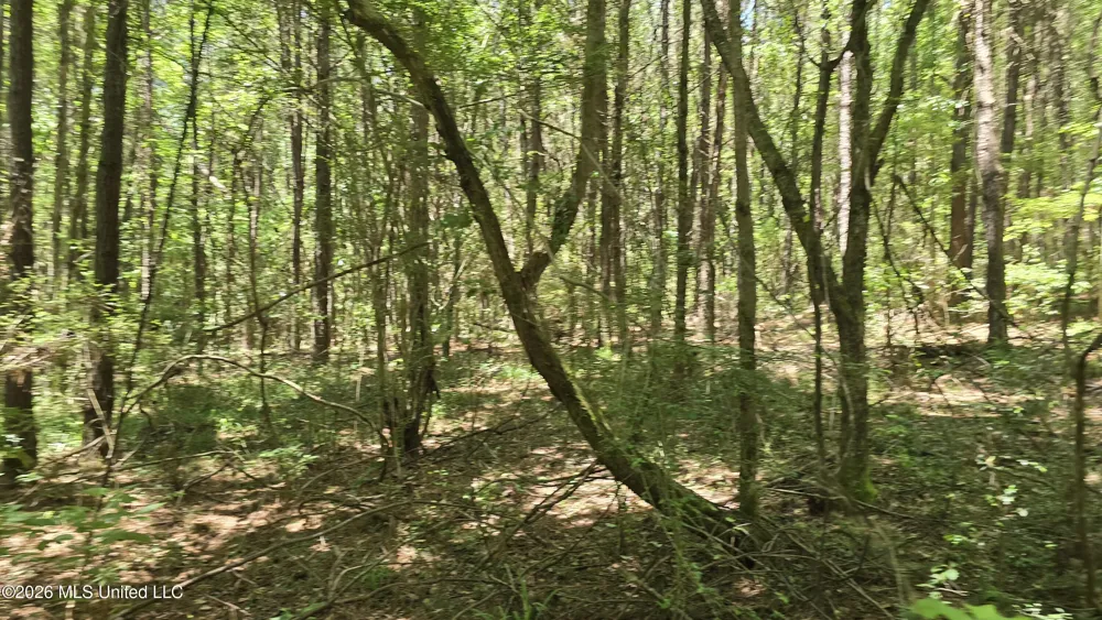 189 Co Rd 2337 Bay Springs, MS 39422