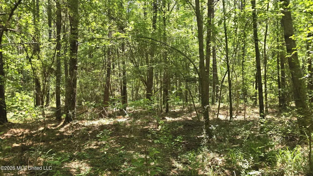 189 Co Rd 2337 Bay Springs, MS 39422