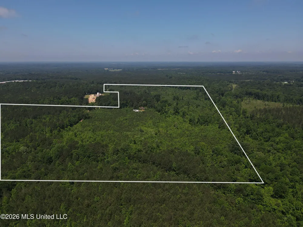 189 Co Rd 2337 Bay Springs, MS 39422
