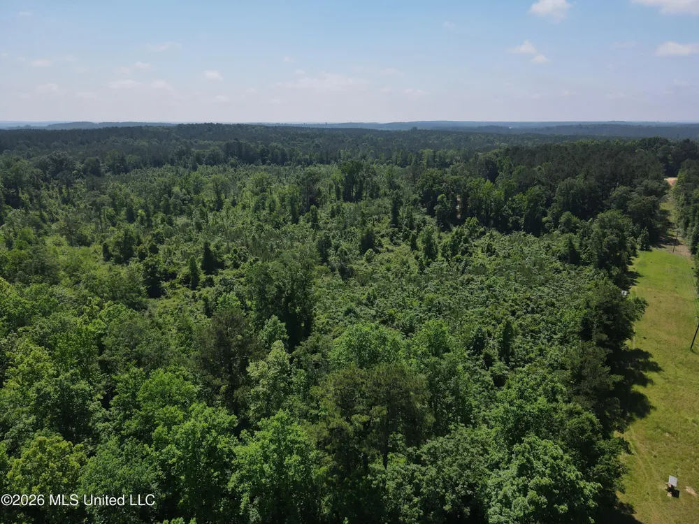 189 Co Rd 2337 Bay Springs, MS 39422