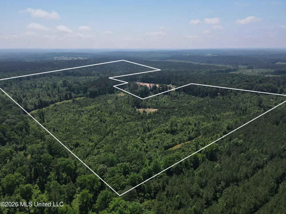 189 Co Rd 2337 Bay Springs, MS 39422