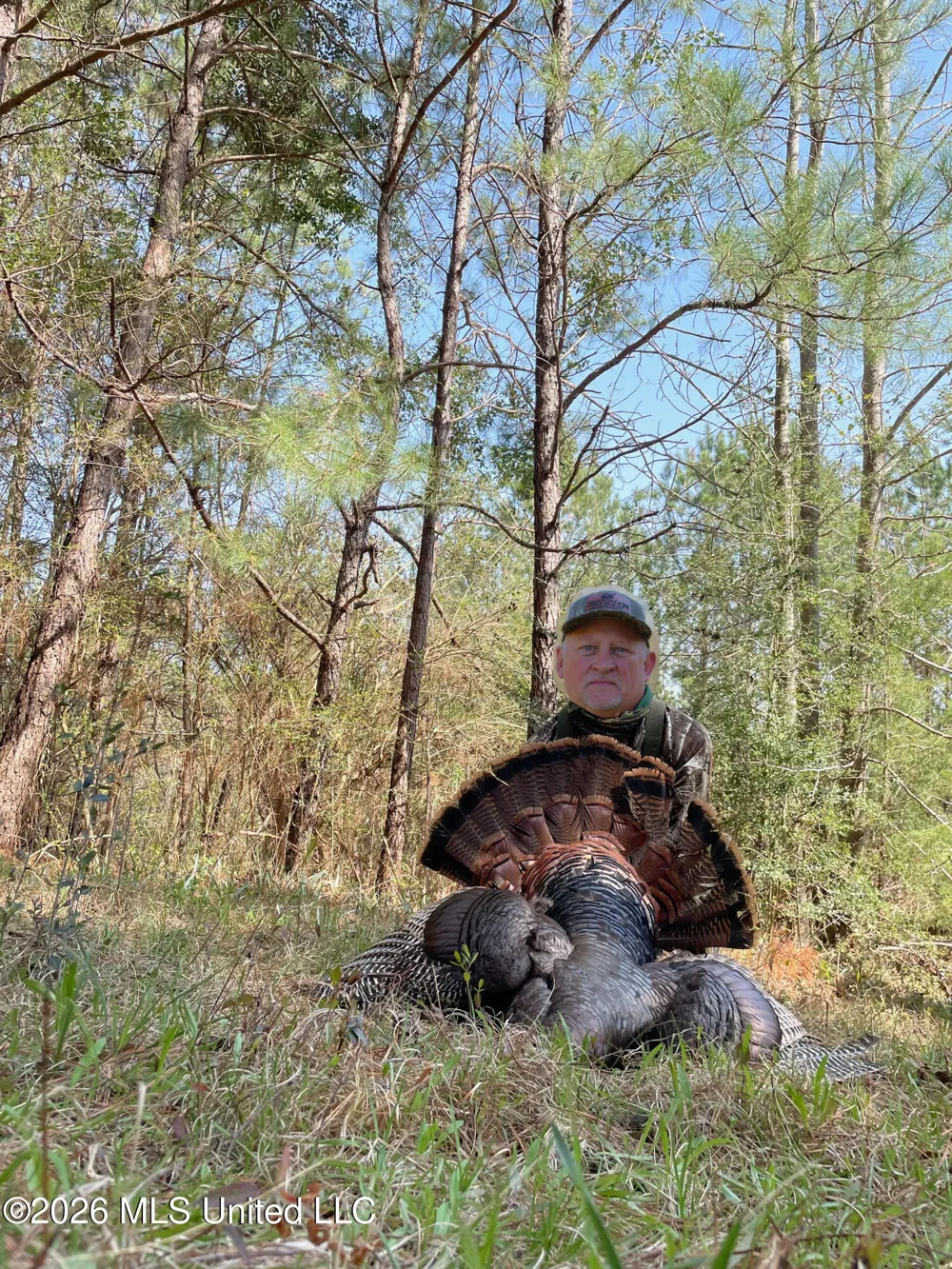 189 Co Rd 2337 Bay Springs, MS 39422