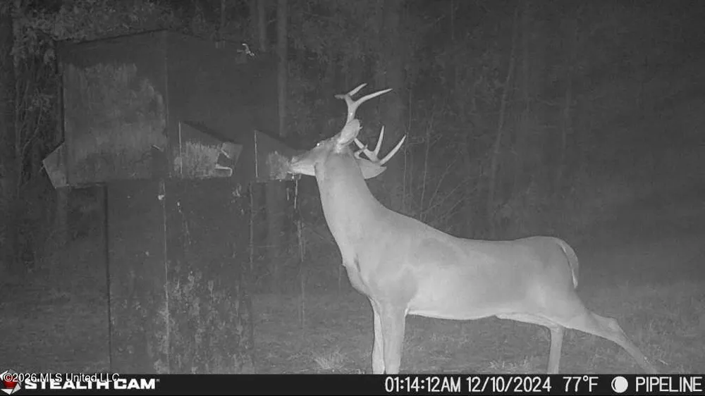 189 Co Rd 2337 Bay Springs, MS 39422