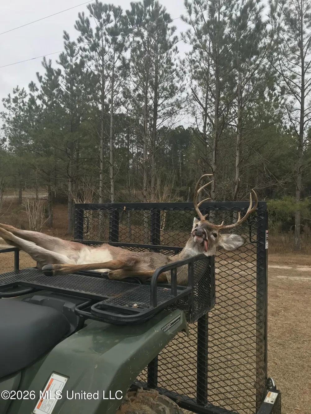 189 Co Rd 2337 Bay Springs, MS 39422