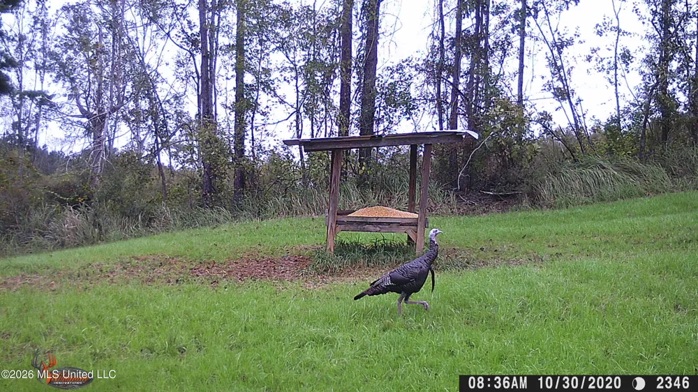 189 Co Rd 2337 Bay Springs, MS 39422