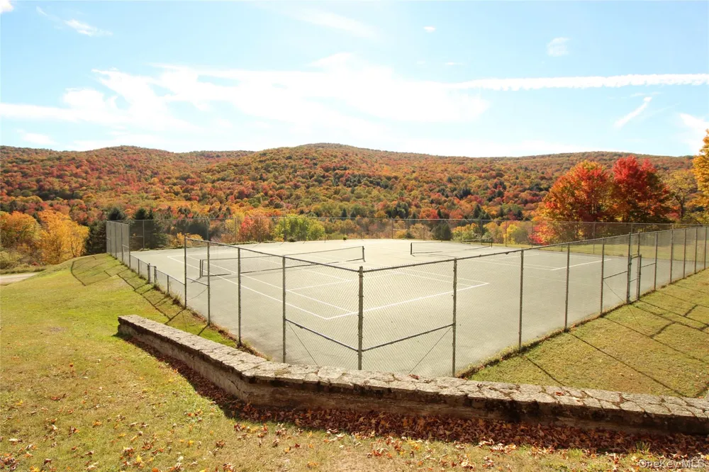 74 High Meadow Road Livingston Manor, NY 12758