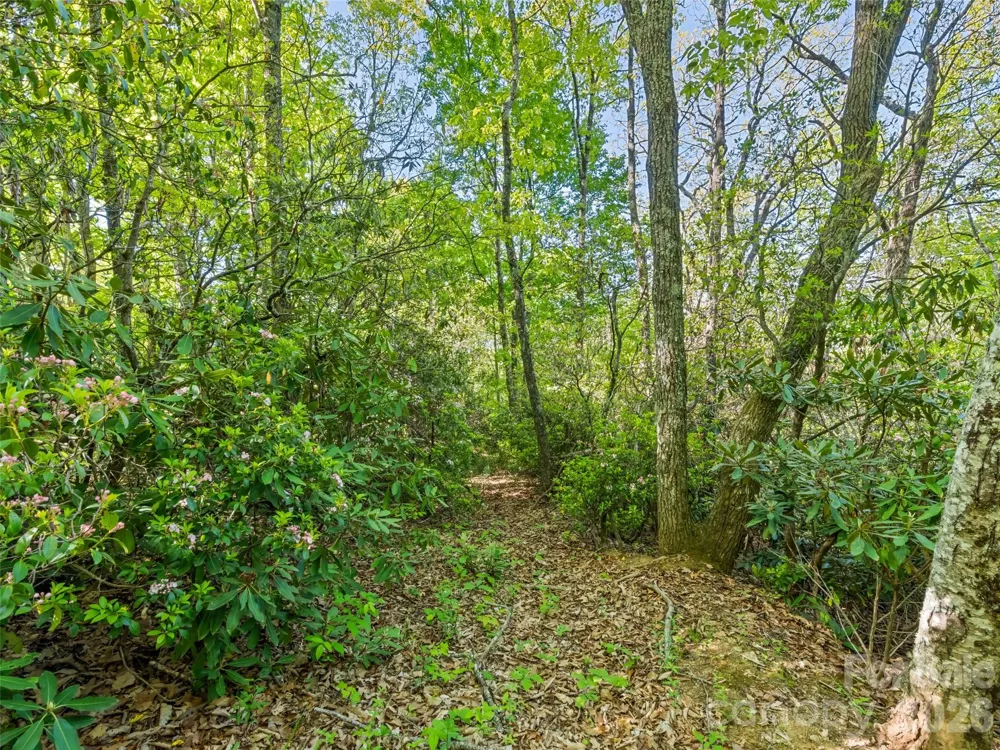 #19 Sleepy Hollow Lane Waynesville, NC 28786