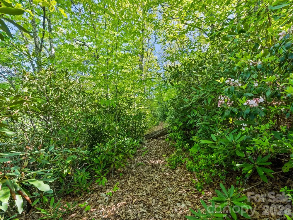 #19 Sleepy Hollow Lane Waynesville, NC 28786