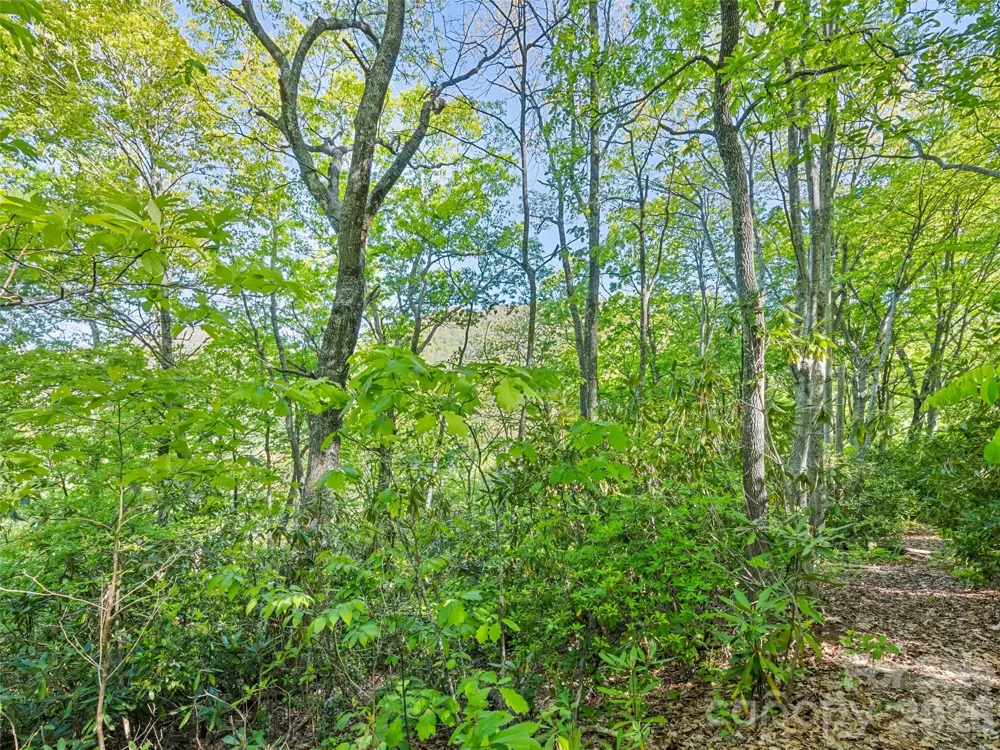 #19 Sleepy Hollow Lane Waynesville, NC 28786
