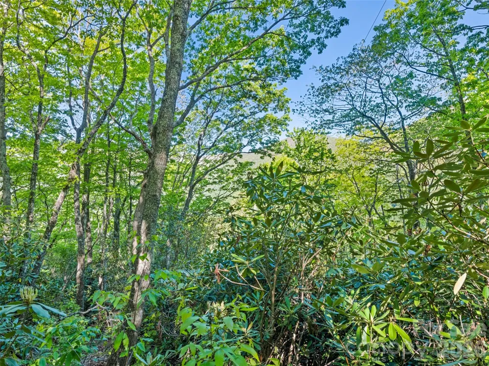 #19 Sleepy Hollow Lane Waynesville, NC 28786