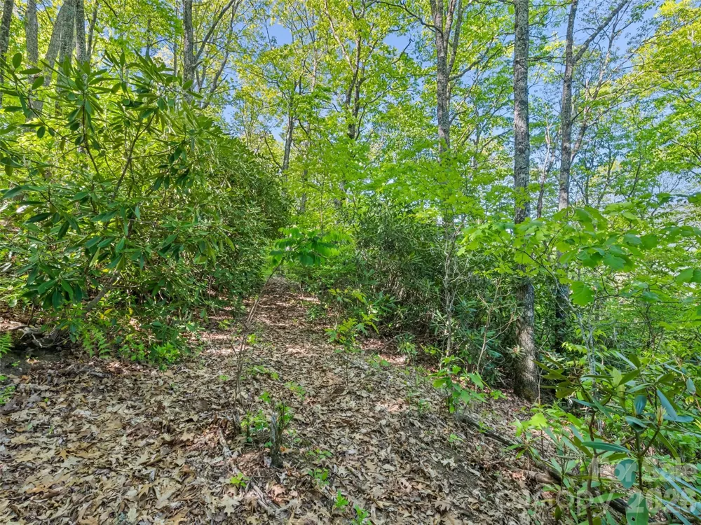 #19 Sleepy Hollow Lane Waynesville, NC 28786