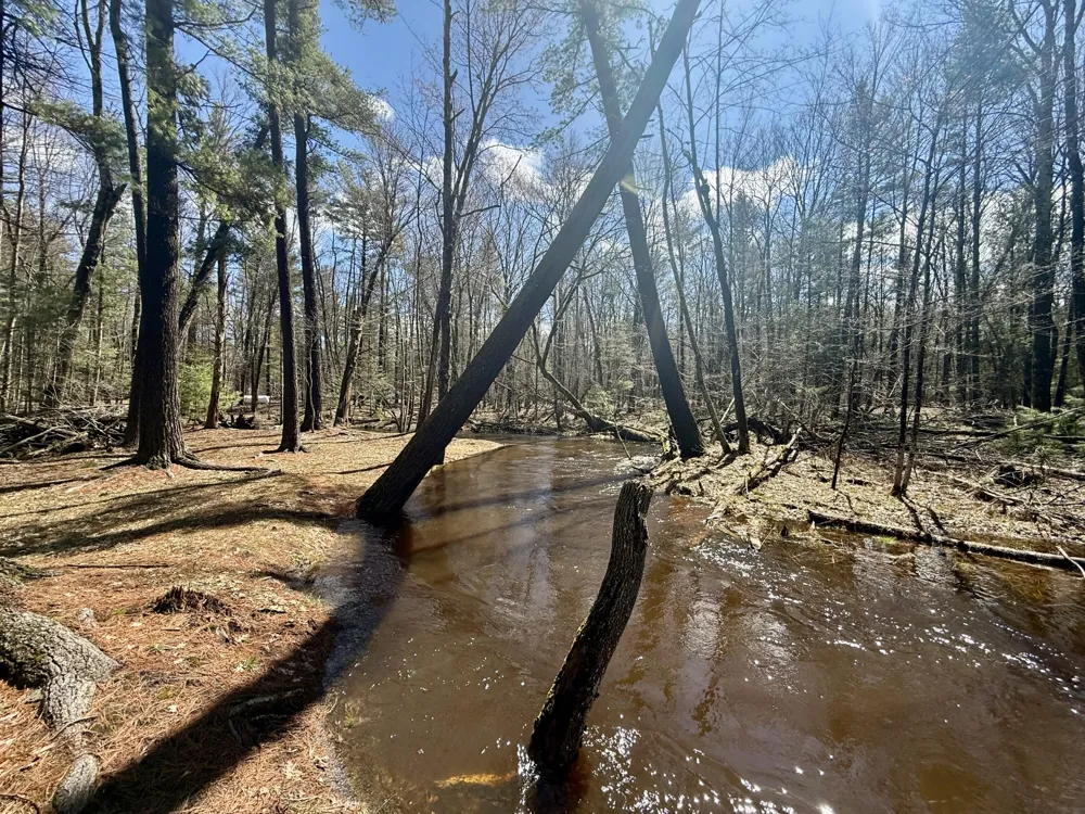 4047 E Creek Wood Drive Cherry Valley Township, MI 49623