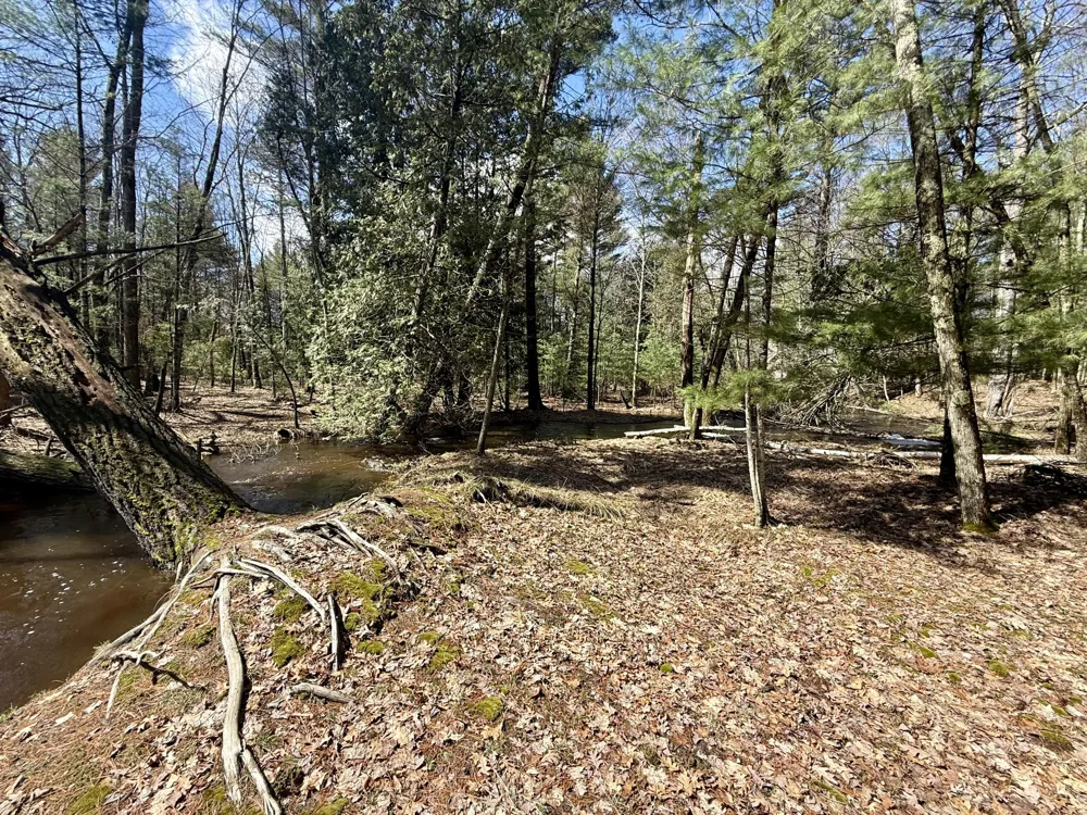 4047 E Creek Wood Drive Cherry Valley Township, MI 49623