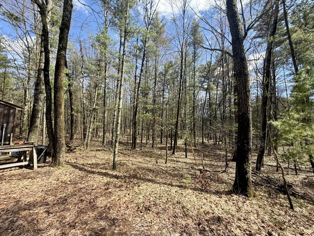 4047 E Creek Wood Drive Cherry Valley Township, MI 49623