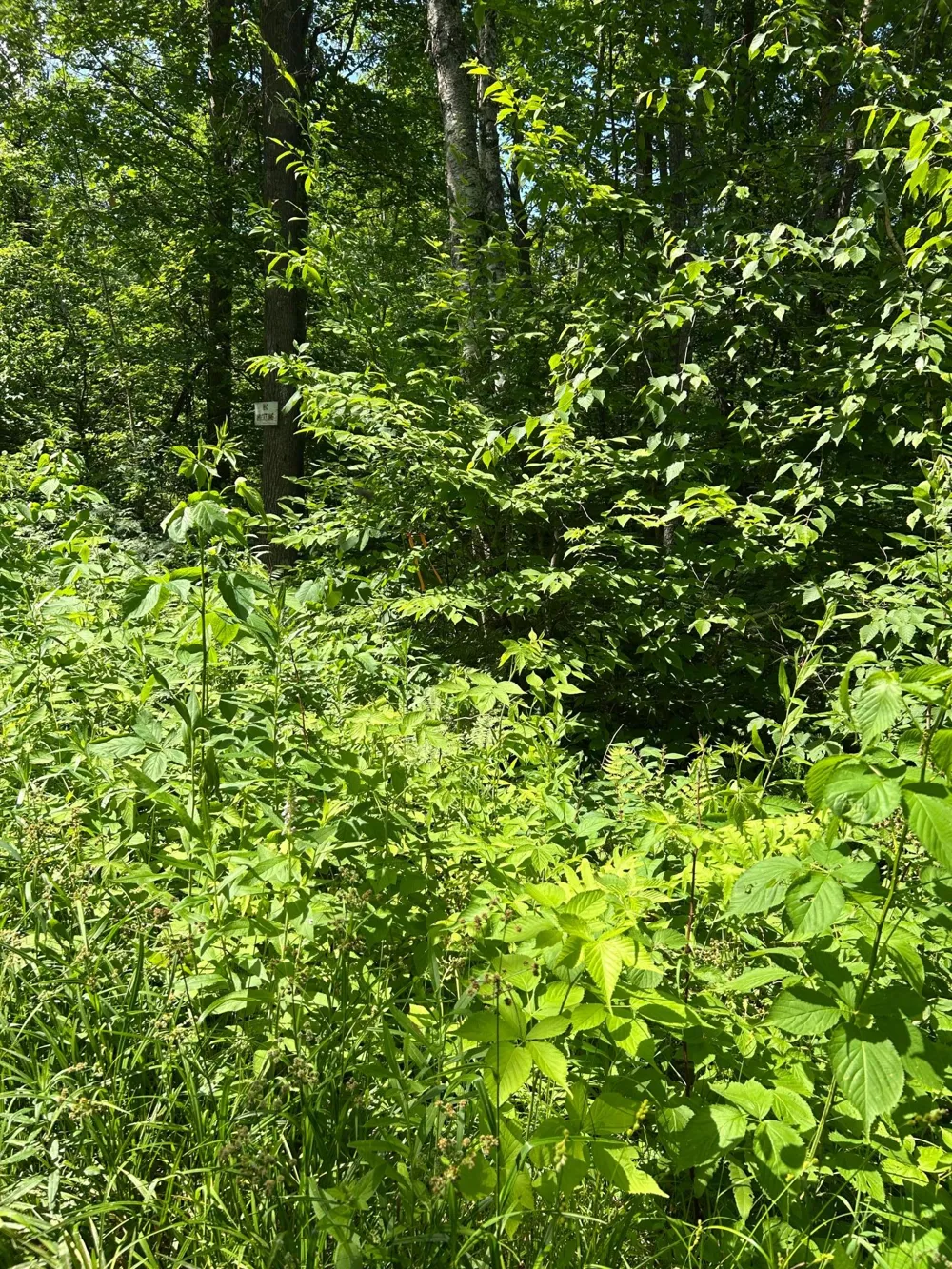 TBD1 Duncan Road Sandstone, MN 55072