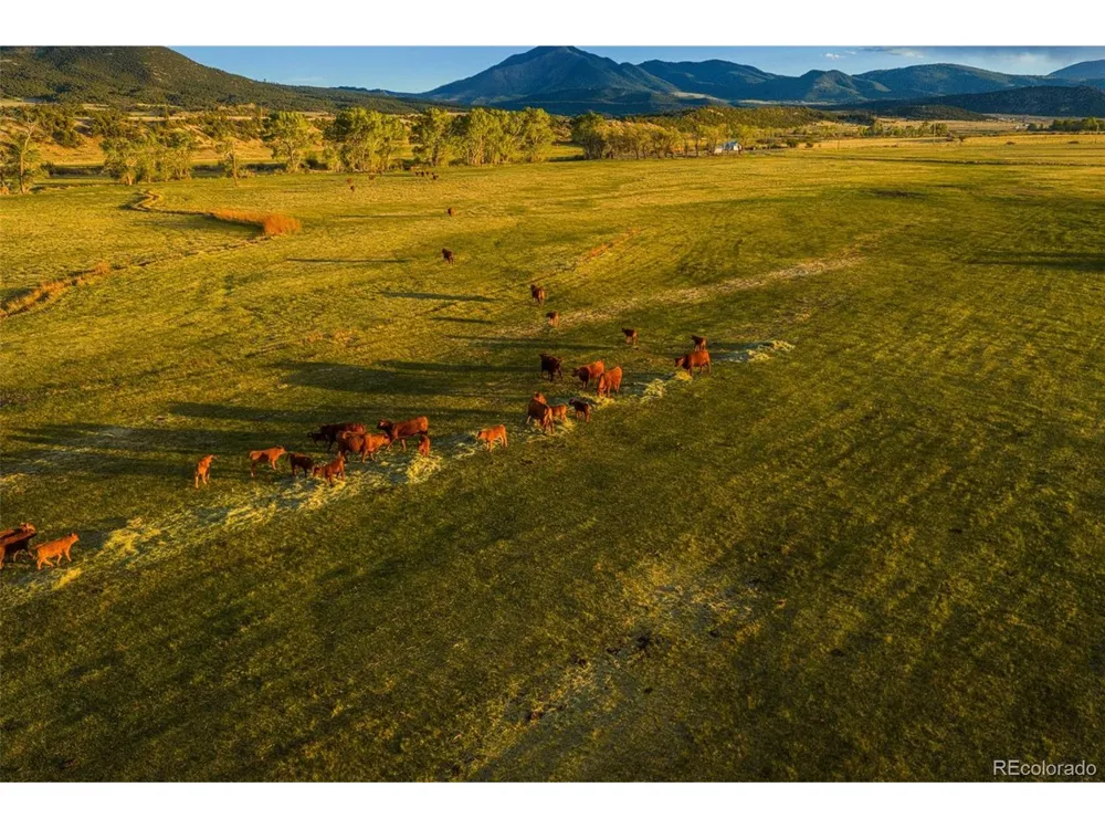 TB County Road 554 Gardner, CO 81040