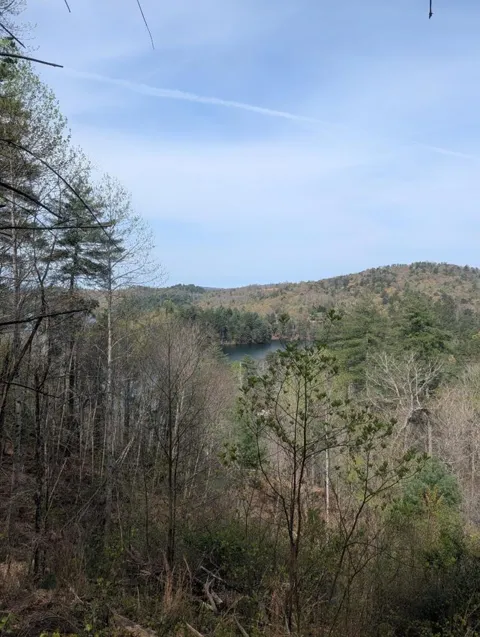 Lt 7A Lake Appalachia Ac Drive