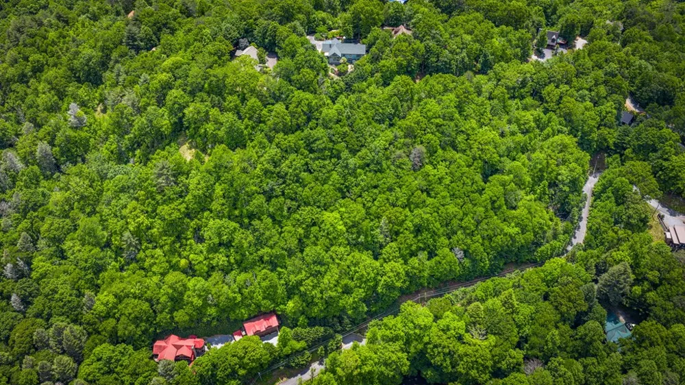 Lt 379 Dream Catcher Blue Ridge, GA 30513