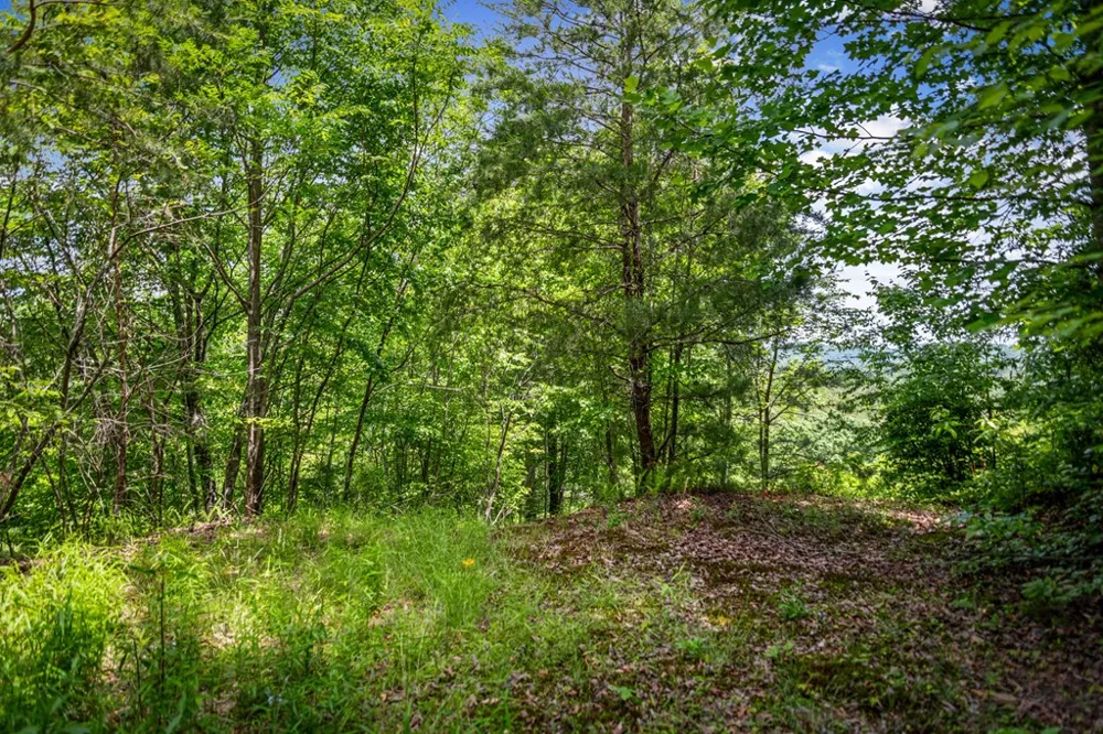 Lt 379 Dream Catcher Blue Ridge, GA 30513