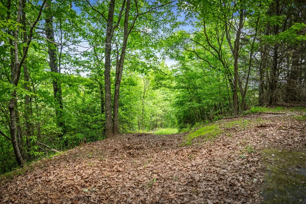 Lt 379 Dream Catcher Blue Ridge, GA 30513