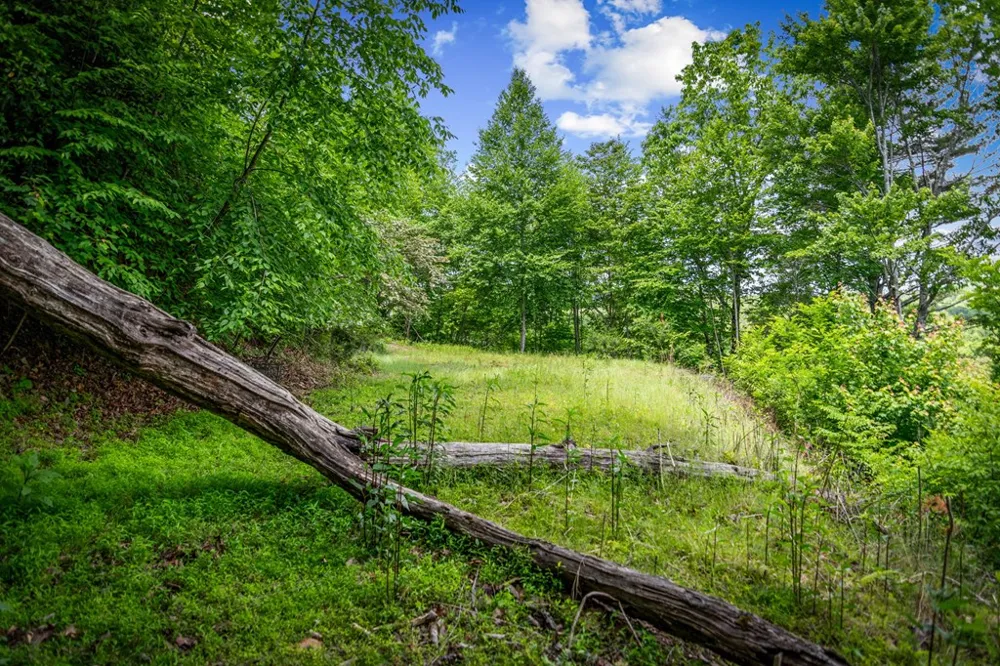 Lt 379 Dream Catcher Blue Ridge, GA 30513