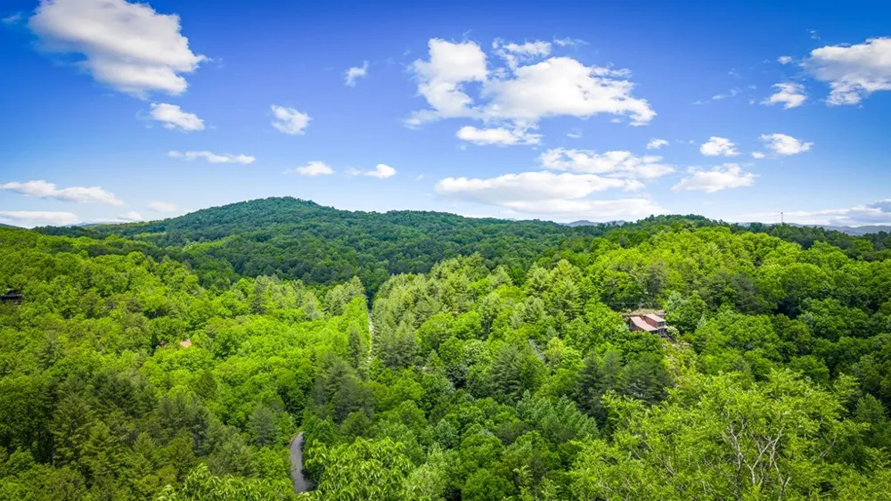 Lt 379 Dream Catcher Blue Ridge, GA 30513