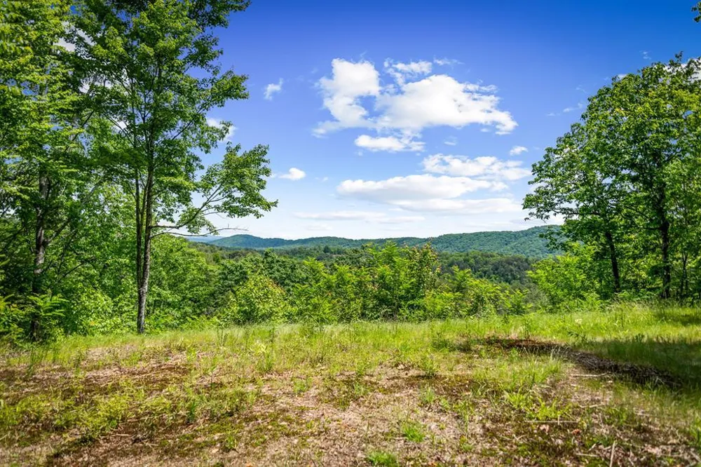 Lt 379 Dream Catcher Blue Ridge, GA 30513