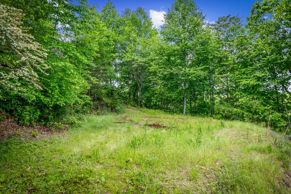 Lt 379 Dream Catcher Blue Ridge, GA 30513