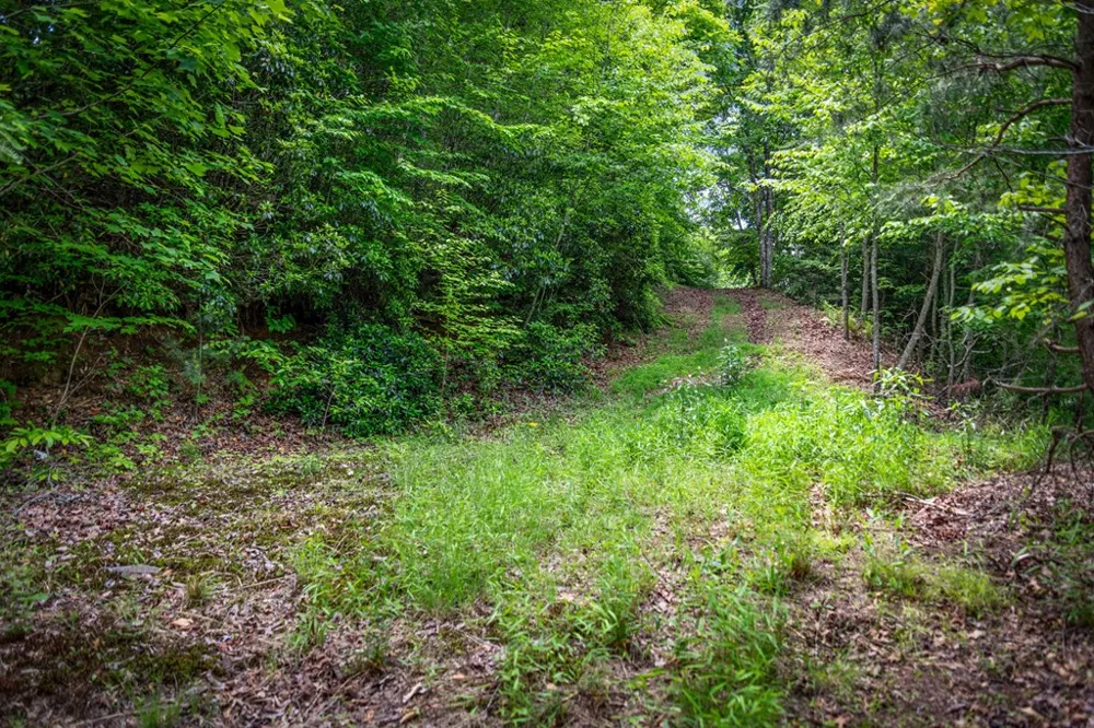 Lt 379 Dream Catcher Blue Ridge, GA 30513