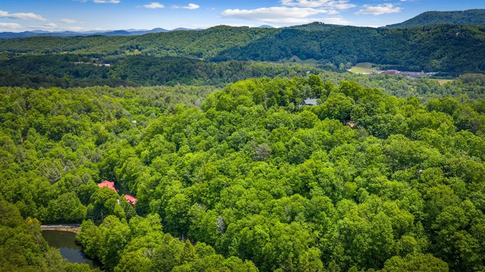 Lt 379 Dream Catcher Blue Ridge, GA 30513