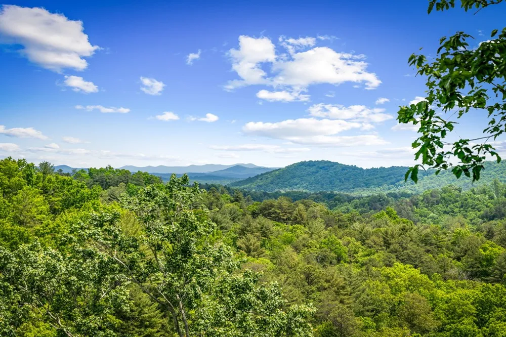 Lt 379 Dream Catcher Blue Ridge, GA 30513