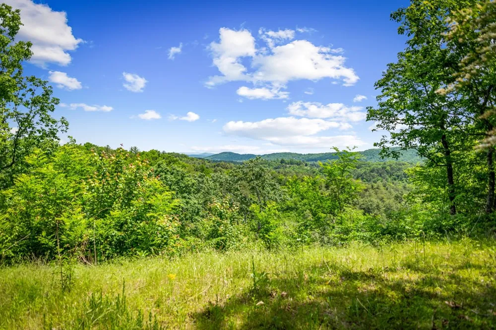 Lt 379 Dream Catcher Blue Ridge, GA 30513