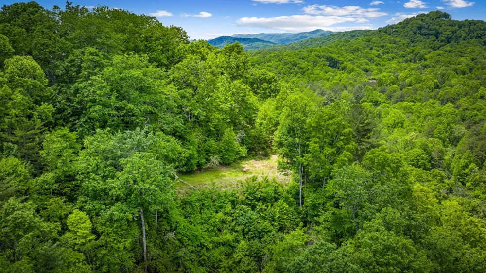 Lt 379 Dream Catcher Blue Ridge, GA 30513