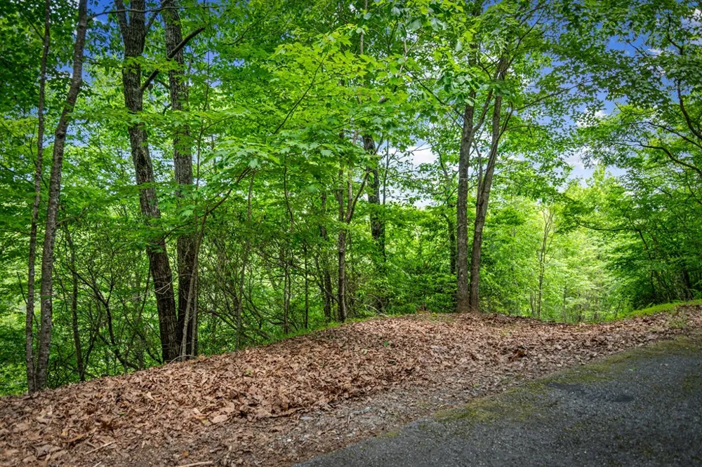 Lt 379 Dream Catcher Blue Ridge, GA 30513