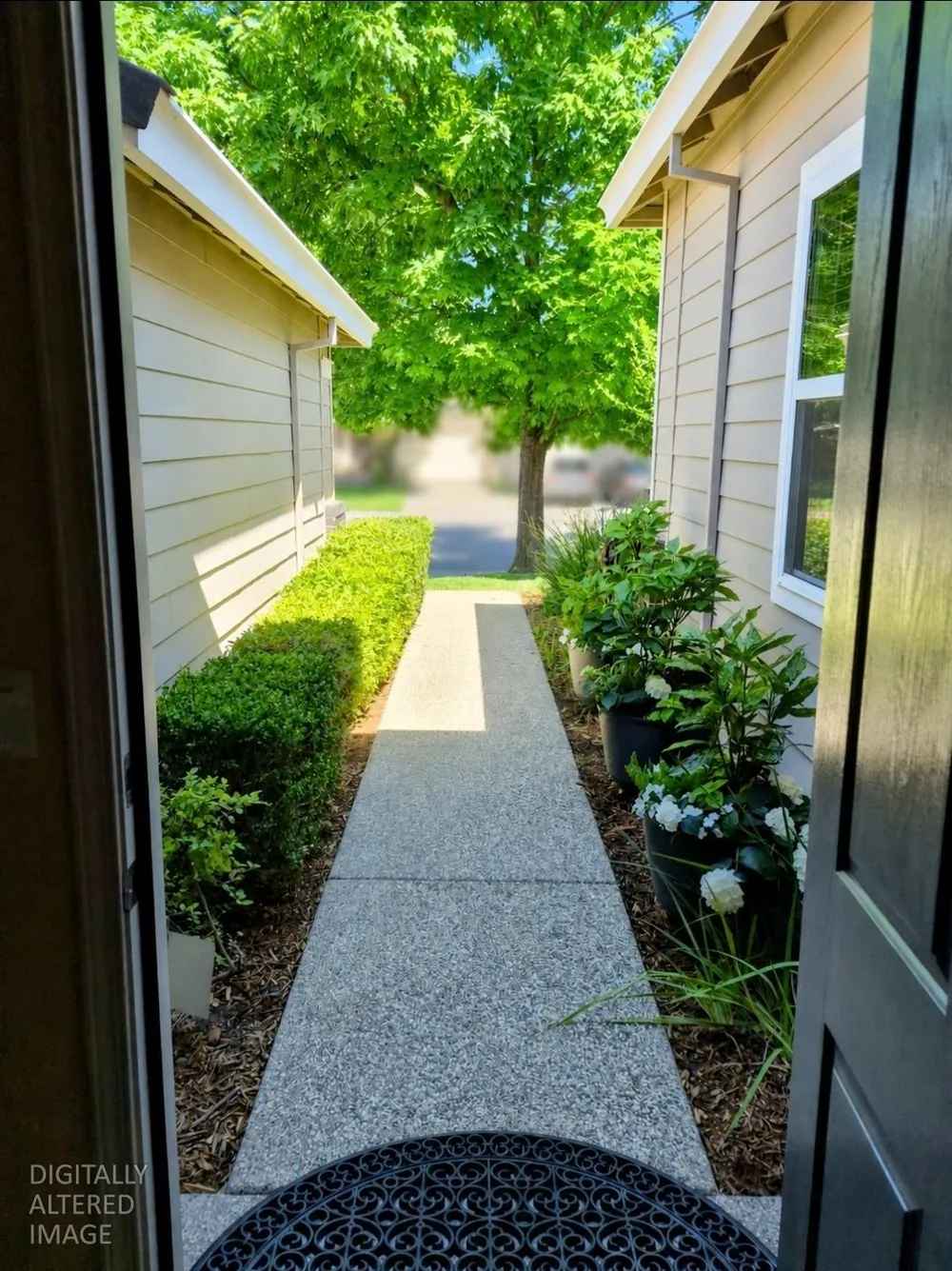 1845 Indiana Street Gridley, CA 95948