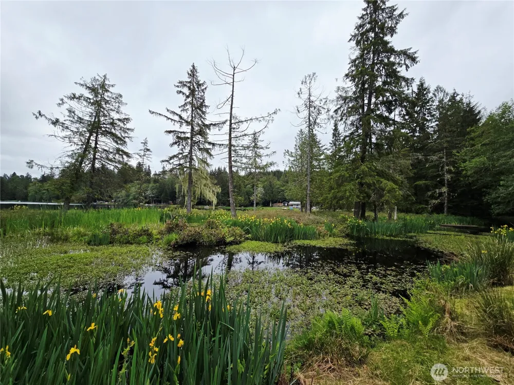 60 W Owa Court Elma, WA 98541