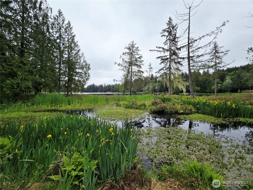 60 W Owa Court Elma, WA 98541