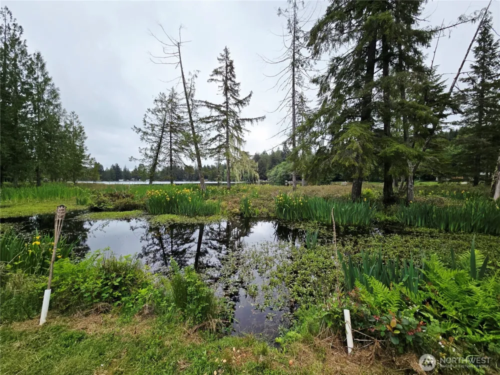 60 W Owa Court Elma, WA 98541