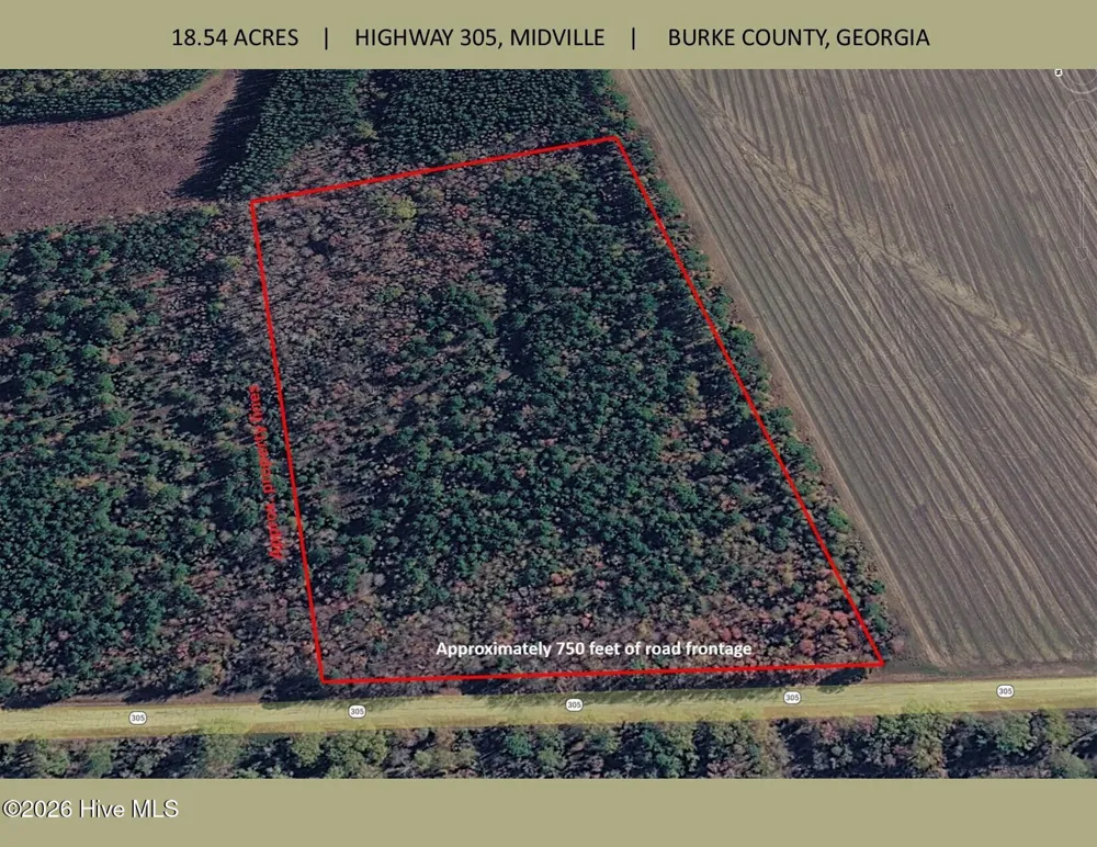 18.5 Acres Georgia 305 Highway Midville, GA 30441