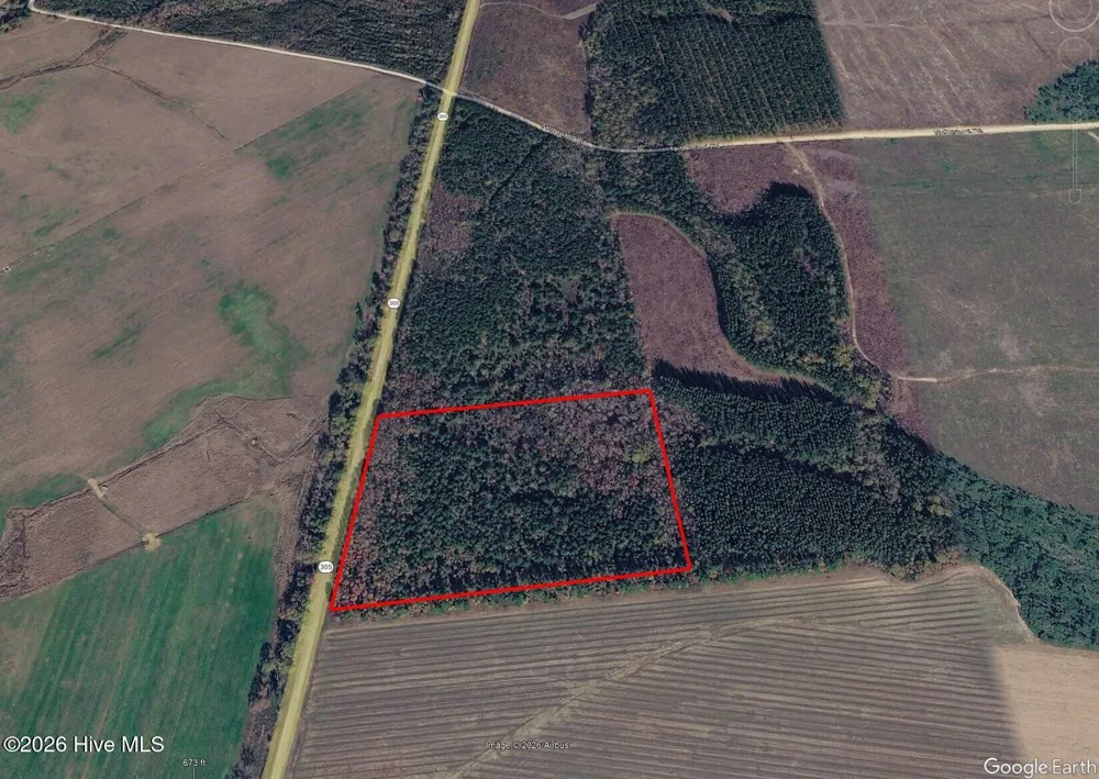 18.5 Acres Georgia 305 Highway Midville, GA 30441