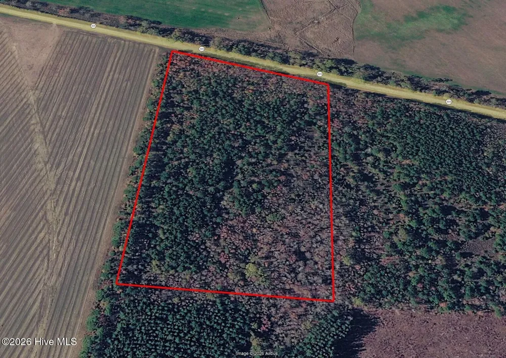 18.5 Acres Georgia 305 Highway Midville, GA 30441