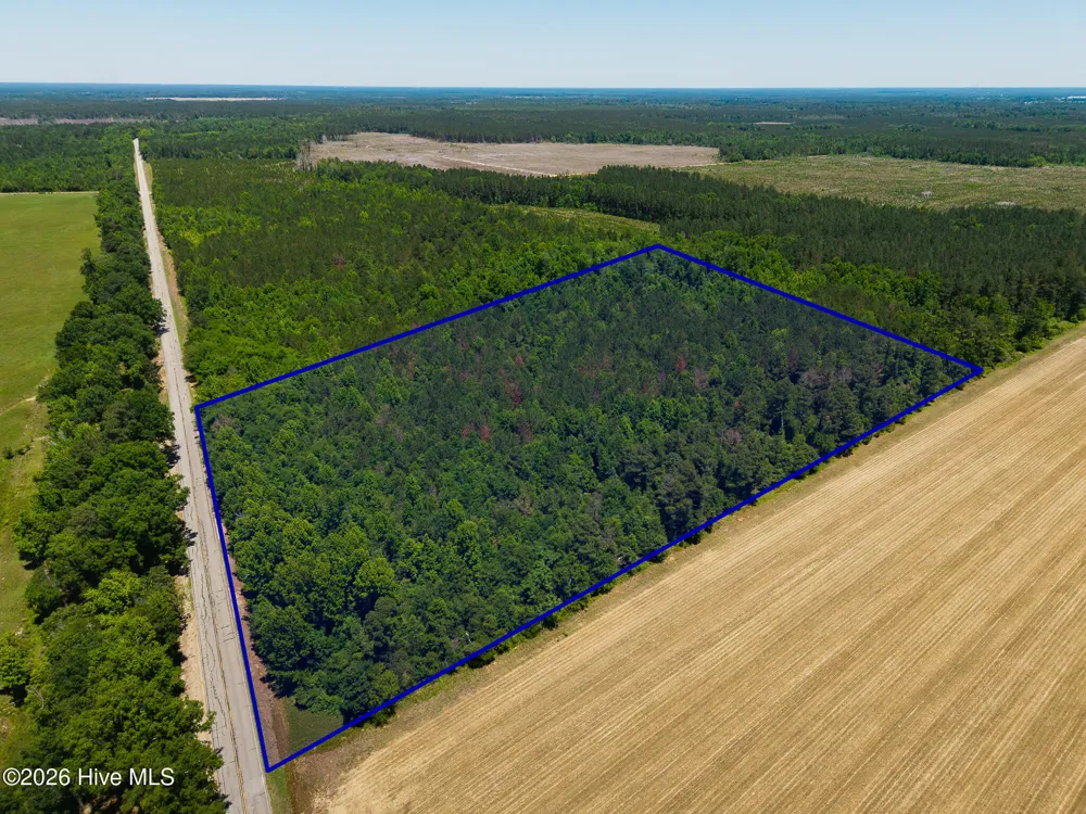 18.5 Acres Georgia 305 Highway Midville, GA 30441